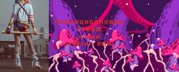 ешки Алексин
