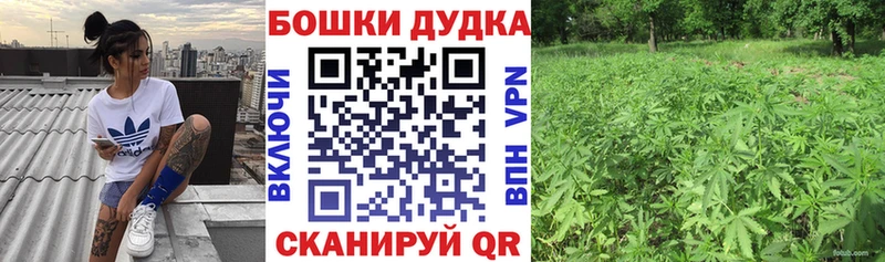 Канабис OG Kush  закладка  Карачев 